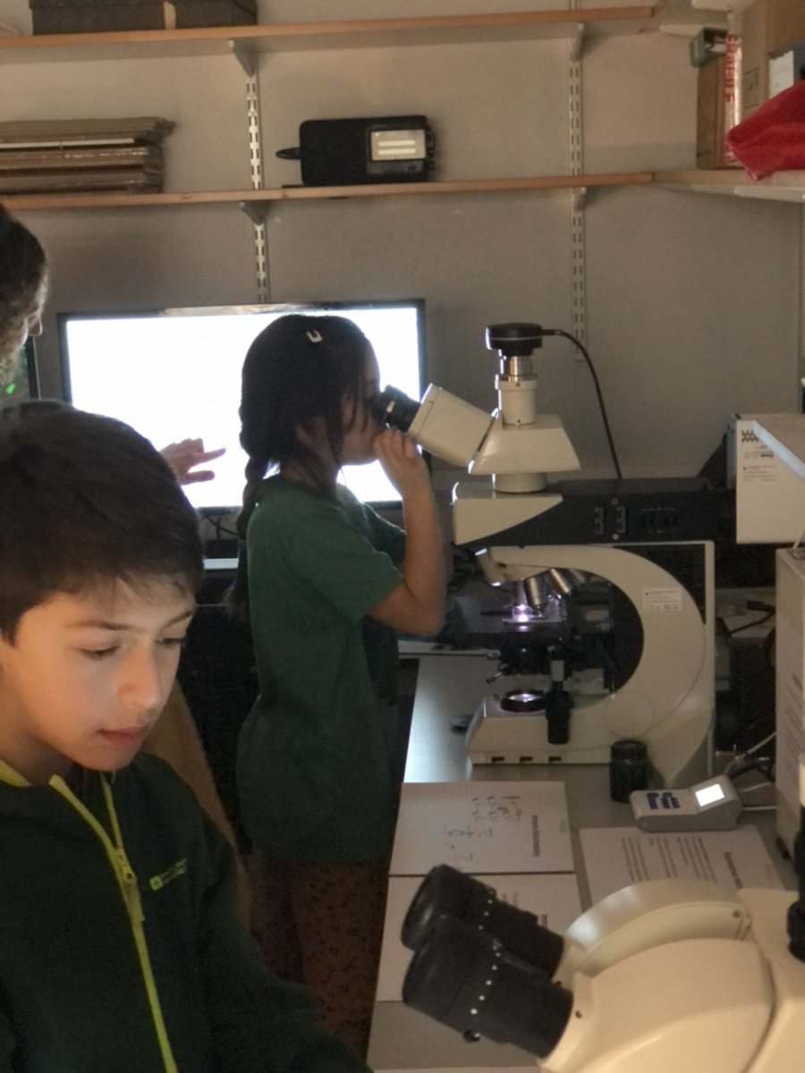 AeliyaZ's tweet photo. Children having fascinating experience @TheWKRU #CardiffScienceFestival https://t.co/AXfLy9uH7N