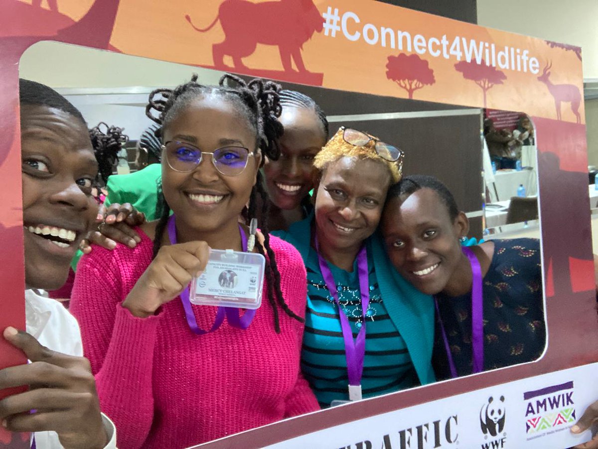 Serfine Achieng (@serfine_achieng) on Twitter photo United to Save Our Wildlife...Let's expose illegal Wildlife traders
<a href="/AMWIK/">Association of Media Women in Kenya</a>
<a href="/IucnE/">IUCN ESARO</a>
<a href="/WWF_Kenya/">WWF-Kenya</a>
<a href="/TRAFFIC_WLTrade/">TRAFFIC</a>
<a href="/USAIDKenya/">USAID Kenya</a>
<a href="/jumuiya/">East African Community</a>
#CONNECT4Wildlife United to Save Our Wildlife...Let's expose illegal Wildlife traders
<a href="/AMWIK/">Association of Media Women in Kenya</a>
<a href="/IucnE/">IUCN ESARO</a>
<a href="/WWF_Kenya/">WWF-Kenya</a>
<a href="/TRAFFIC_WLTrade/">TRAFFIC</a>
<a href="/USAIDKenya/">USAID Kenya</a>
<a href="/jumuiya/">East African Community</a>
#CONNECT4Wildlife
