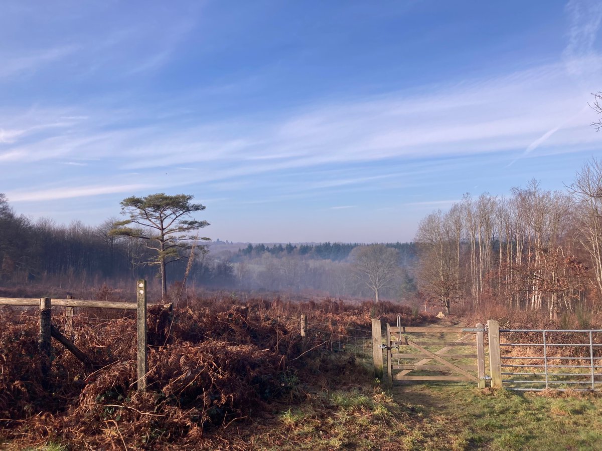 What a beautiful misty morning out in the High Weald 🌬️🌳 
Read below to see what we've been up to: