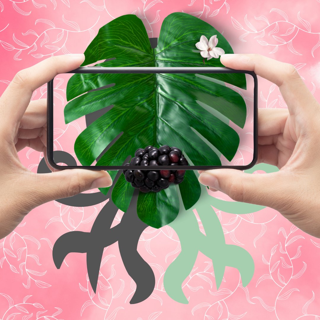 NFT with utility : Parque Nacional Tortuguero Beach Costa Rica | meta11-11nft | opensea

#nft #nftart #nfts #nftartist #nftcommunity #nftinvesting #nftcollector #nftcollectibles #nftcollection #nft_news #nftbuyers #nftmarkets  #nftopensea  #nftclub #Beachcleaning #CostaRica