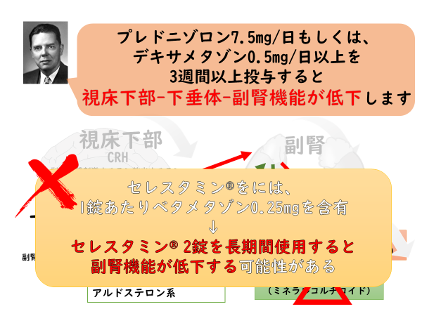 デキスクロルフェニラミン マレイン酸塩 ベタメタゾン メドキマイカのリーフレット
