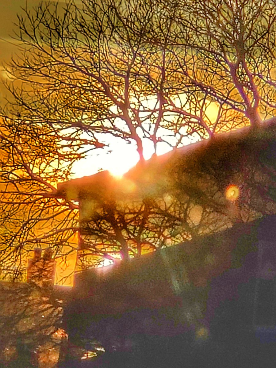 Dawn Howden 👁️💥🔥🤯 tweet media