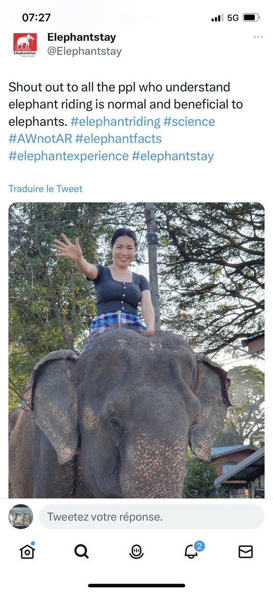 Lucycrew7's tweet image. Liar liar liar !!! Just good for $$$$$  please don’t spend your money there 😡😡😡😡#ElephantStay it just #Cruelty #Slavery #Torture #Abuse