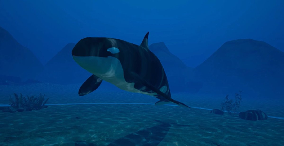 weltfern_tech's tweet photo. We are happy about another great production at ◯˙ weltfern Software Lab. The "Wildlife Experience" VR  allows users to dive into the world of the #whale:
https://t.co/M1YNwcUu5C

#virtualreality #vr #learning #software #Innovations #Experience #design #thesis #metaverse #xr https://t.co/JX509FaqlW