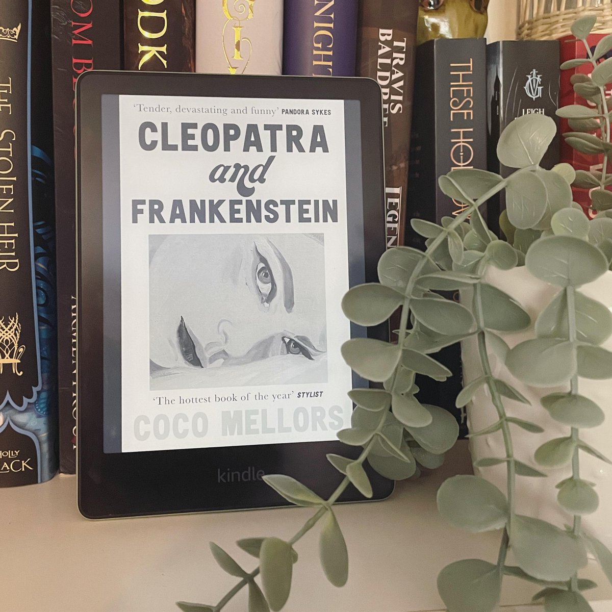 I really hate not finishing books, but I just couldn't finish #CleopatraandFrankenstein. It's not a book for me :/