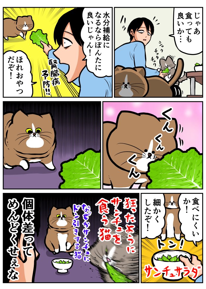 食の好みが全然違う猫2匹 