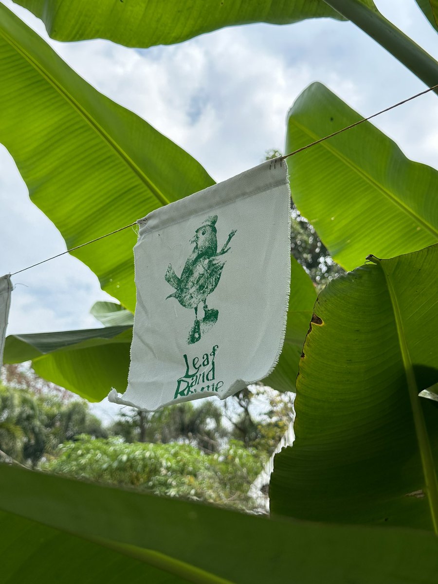 impfGetaway's tweet photo. ธรรมชาติ เสียงเพลง และผู้คน 🌿🎵 #leafandrhyme #กลุ่มใบไม้ https://t.co/kJByINQ82M