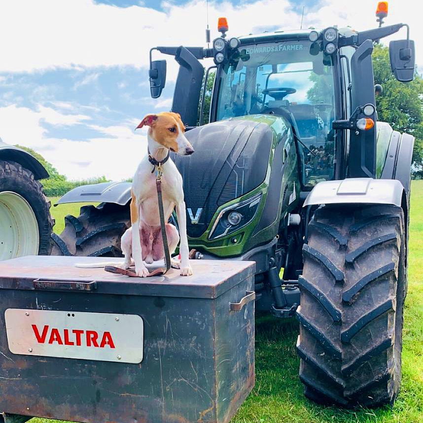 mancoedvm's tweet photo. Happy National Love Your Pet Day. πΆ π π΄ π° π π¦
Lots of the Man Coed team have pets at home. Let's celebrate them on National love your pet day. We'd love to see your pet pics today.
Arbenigwyr coed a thiroedd o gymru #nationalloveyourpetday #loveyourpetday #petday #mancoed https://t.co/MLkRceKiip