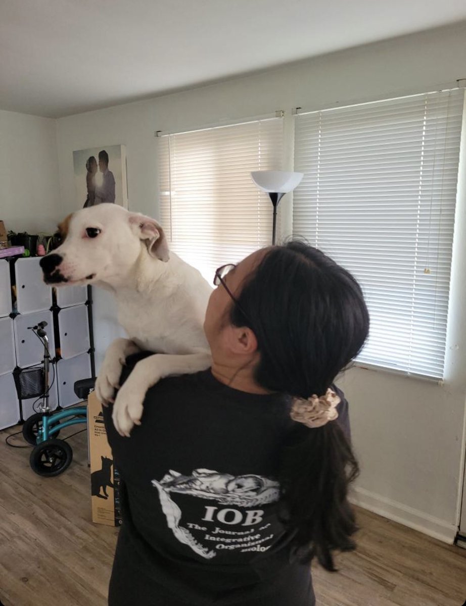 iobjournal@sicb.org tweet media