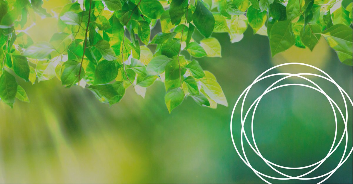 PQRnl's tweet image. Bij een optimale IT hoort ook een flexibele workspace, die meebeweegt met de behoefte van de gebruikers. Dynamic Workspace van PQR draagt bij aan uw groei.
hubs.ly/Q01CR_pf0 #Diensten #Workspace #Rustmakers #IT