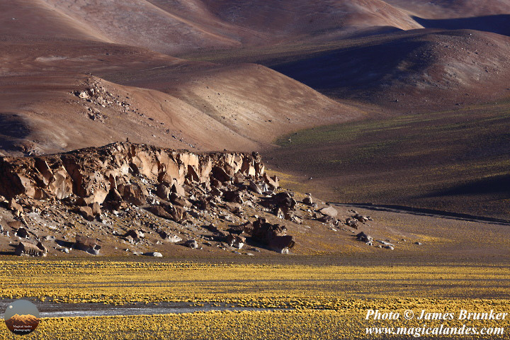 jamesbrunker's tweet image. Rocks light and shadows in the #desert in the Puna de #Atacama #Chile, available as prints and #gifts here: james-brunker.pixels.com/featured/sunli…
#AYearForArt #BuyIntoArt #GiftThemArt #landscapes #wilderness #TurismoEnChile #desolation #abstract #rocks #minimalism #textures #browns