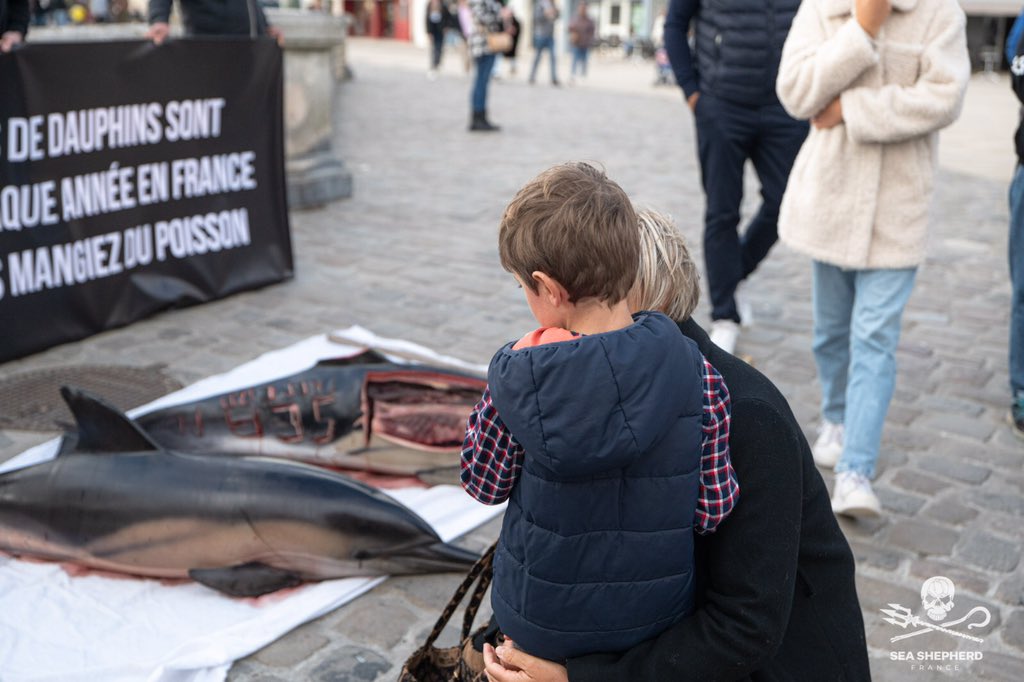 Sea Shepherd France tweet media