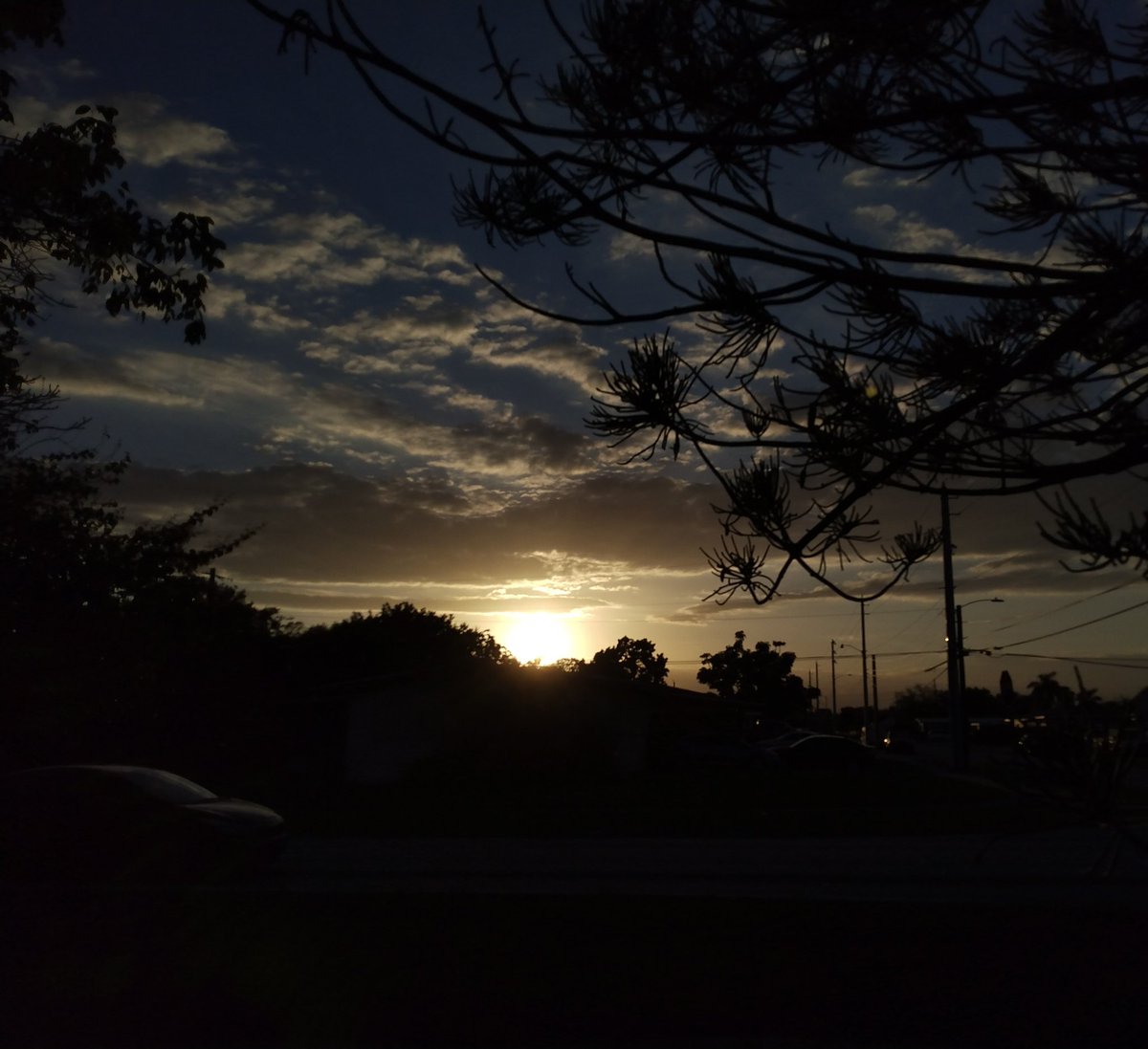 JorgeGNYCMIA's tweet photo. #Miami #Sky #Sunset #Palmtrees #photo #photodaily #phototoday #photoofthedaye #photogram #photograph #photographer #photography #photooftheweek #photos #photosession #photoshot #photostudio #skyphotography #sunrays #sunflares #lensflare #SunsetEvening https://t.co/CkDjo6GWjd
