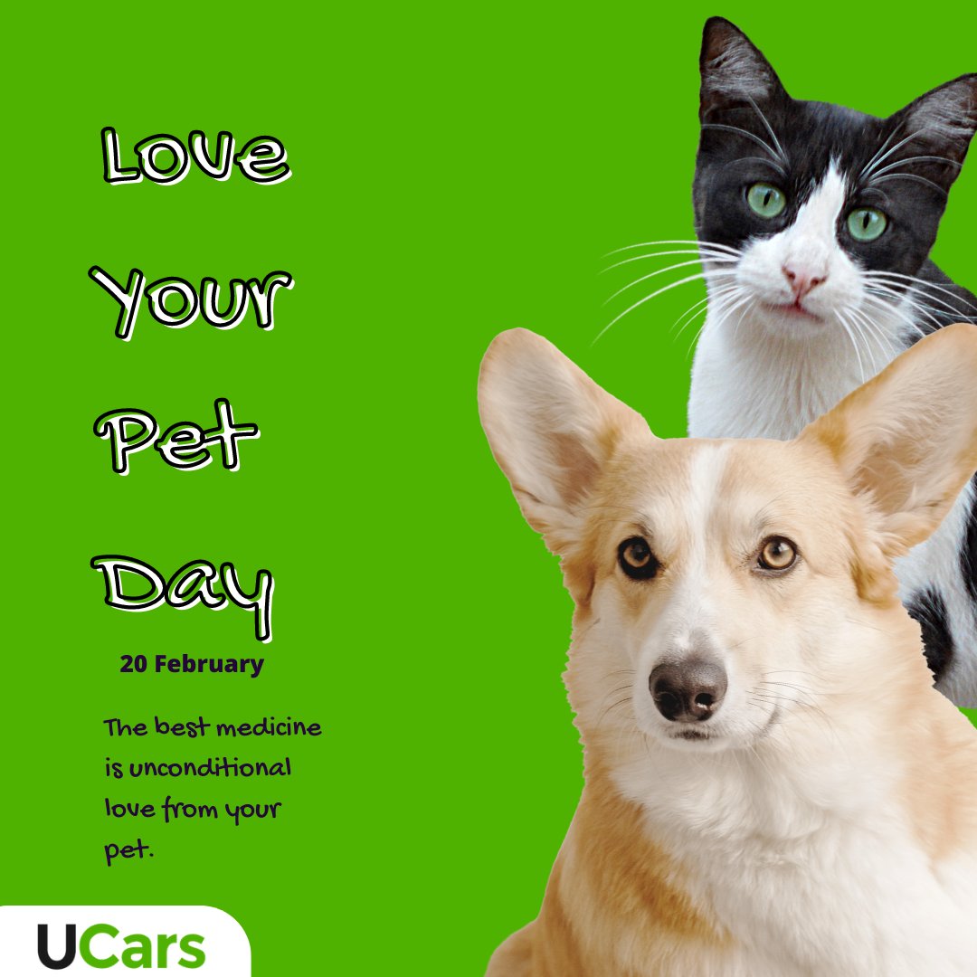 DriveUCars's tweet image. 𝐍𝐚𝐭𝐢𝐨𝐧𝐚𝐥 𝐋𝐨𝐯𝐞 𝐲𝐨𝐮𝐫 𝐏𝐞𝐭 𝐃𝐚𝐲! 𝐓𝐚𝐤𝐞 𝐲𝐨𝐮𝐫 𝐩𝐞𝐭 𝐟𝐨𝐫 𝐚𝐧 𝐞𝐱𝐭𝐫𝐚-𝐥𝐨𝐧𝐠 𝐰𝐚𝐥𝐤.
#ucars #loveyourpetday #ilovemydog #love #pet #doge #doggie #doglife #mondaythoughts #PSL08  #Love #Thunder