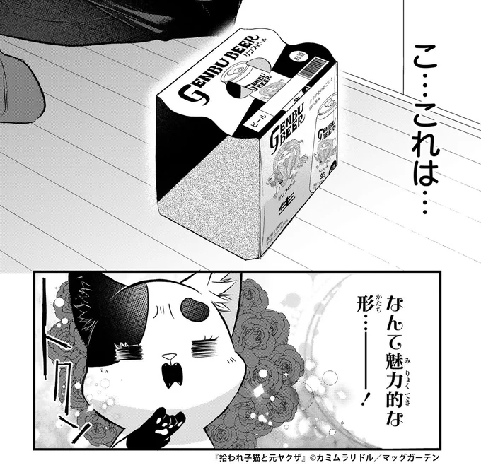 14時です!
午後も頑張りましょう!

『拾われ子猫と元ヤクザ』著:カミムラリドル(@kmmrlid1)
1話はURLより!
https://t.co/mcQOEqY1iw
#猫の日 #ネコ時報 #拾われ子猫と元ヤクザ 