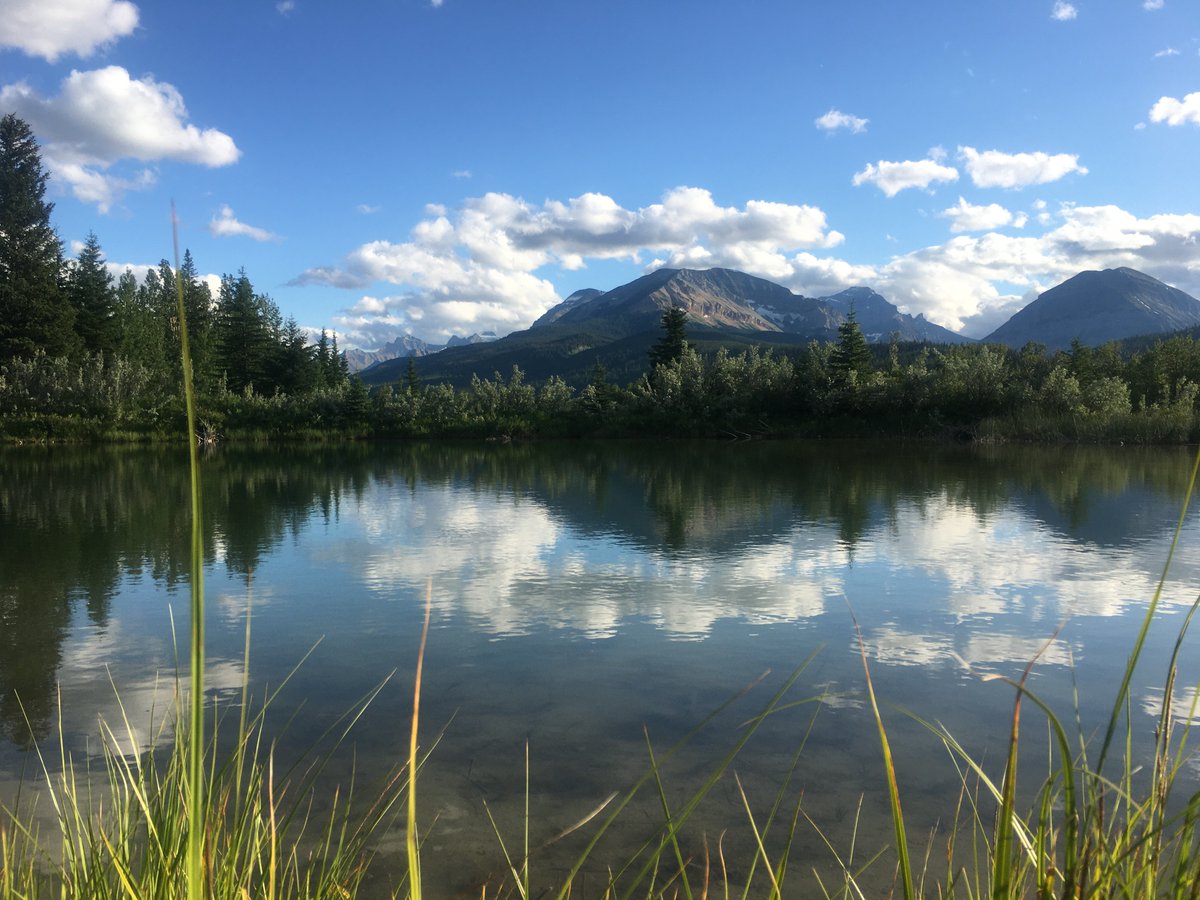 We have opened our doors at the University of Ottawa and are recruiting! Two PhDs and one MSc. 
leeyawlab.ca
1/4