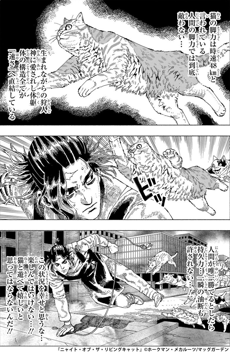 16時です!
そろそろ俊足帰宅の準備です♪🐈🐈=3

『ニャイト・オブ・ザ・リビングキャット』
原作:ホークマン/作画:メカルーツ(@turukame12 @oosakitakaneko)
1話はURLより!
https://t.co/mln63pR7cK
#猫の日 #ネコ時報 #ニャイリビ 