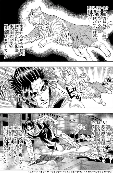 16時です!
そろそろ俊足帰宅の準備です♪🐈🐈=3

『ニャイト・オブ・ザ・リビングキャット』
原作:ホークマン/作画:メカルーツ(@turukame12 @oosakitakaneko)
1話はURLより!
https://t.co/mln63pR7cK
#猫の日 #ネコ時報 #ニャイリビ 