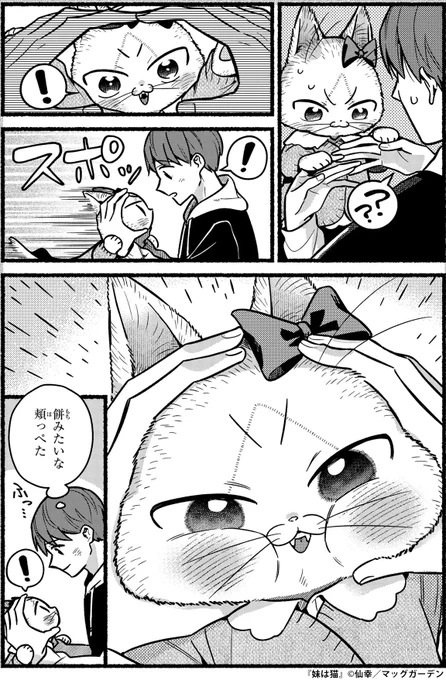 21時です!
ゆったりモフモフ癒されタイム♪

『妹は猫』著:仙幸(@norsw55)
1話はURLより!
https://t.co/cYNMmyHQXN
#猫の日 #ネコ時報 #妹は猫 