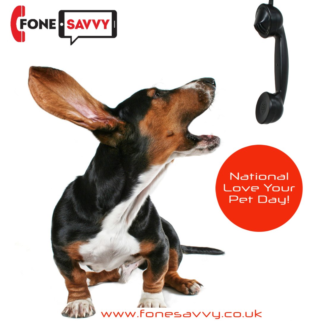 Fonesavvyuk's tweet image. When you talk with your loved one, does your pet try to 'woof' or 'meow' down the phone too? 
Dogs and cats have sensitive hearing and can tell the difference between their owner's voice and that of another person.
fonesavvy.co.uk
#cheapercalls #prisonfamilysupport