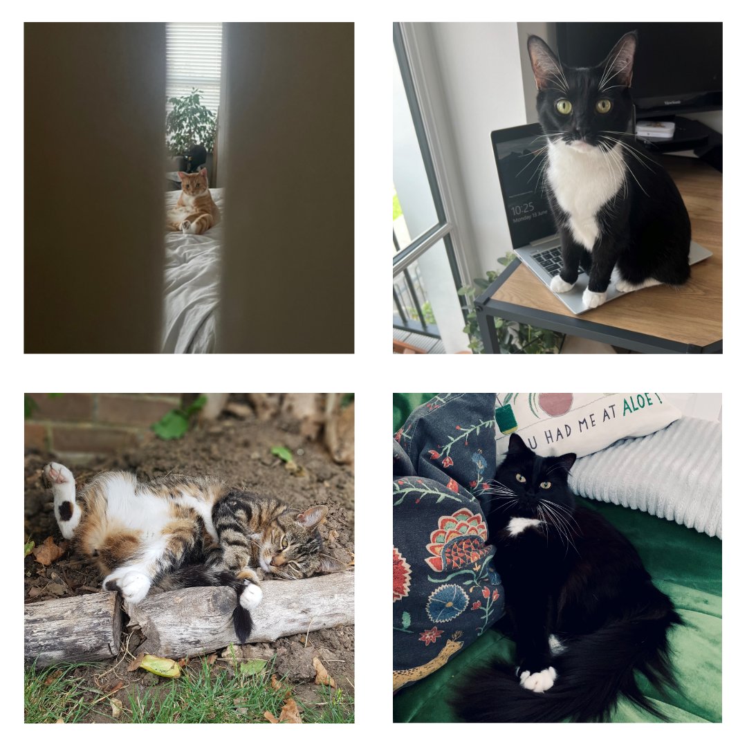 Domestic & General tweet media