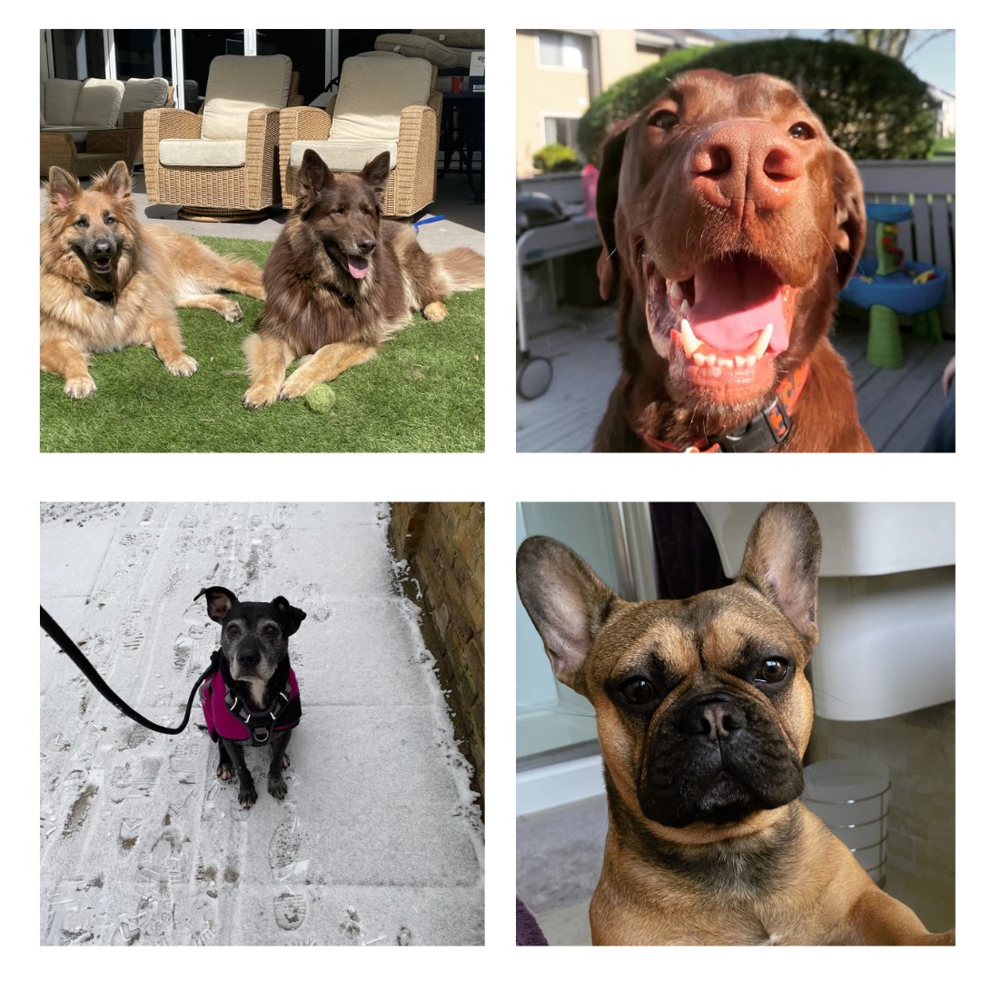 Domestic & General tweet media