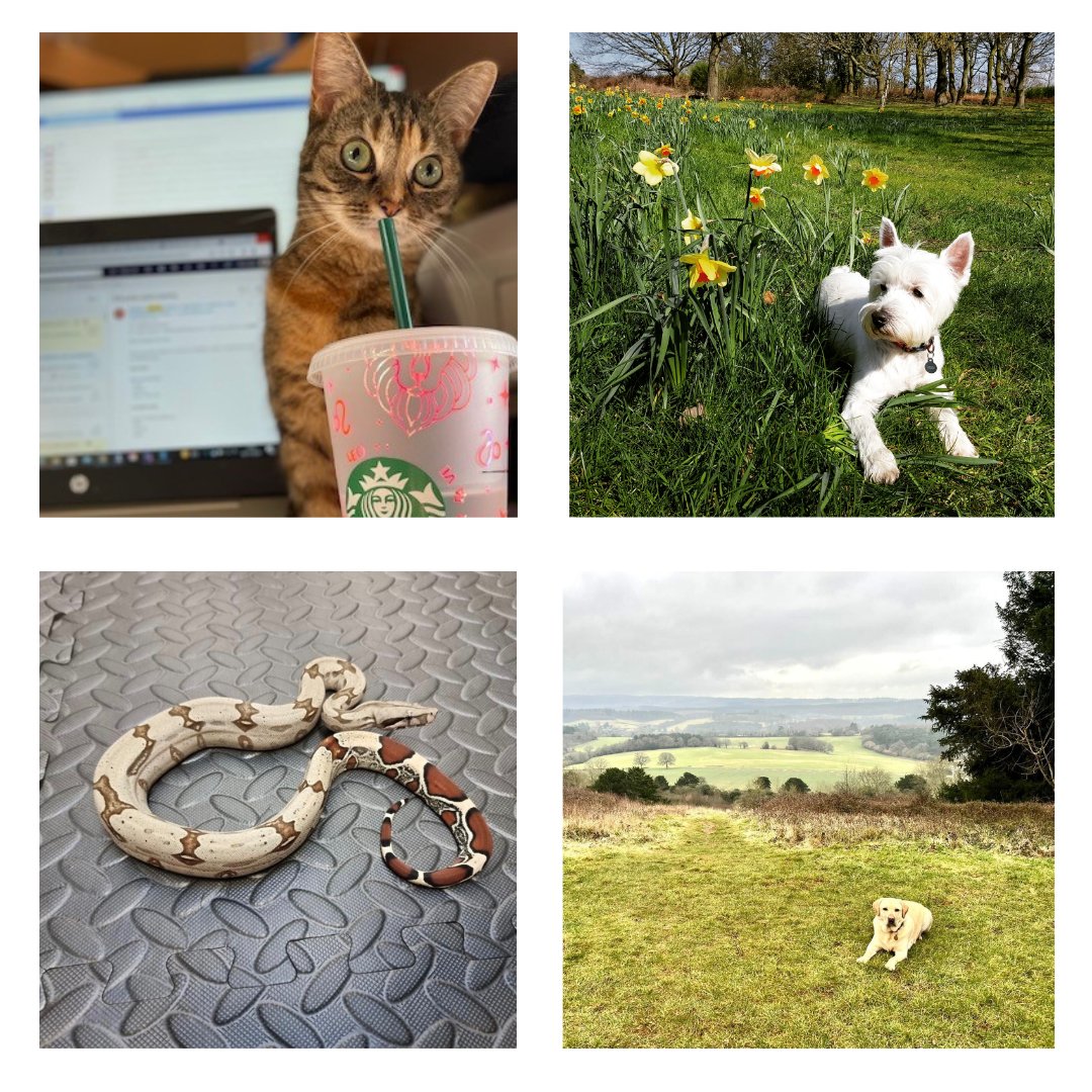 Domestic & General tweet media