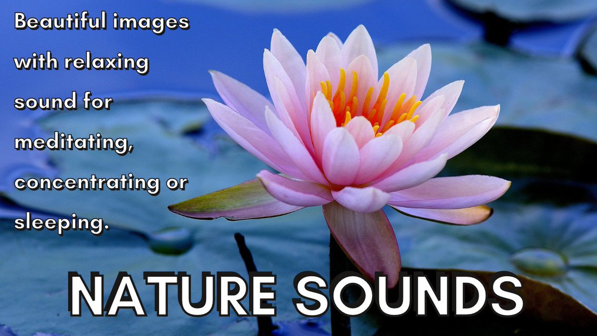NatureSounds_23's tweet photo. Beautiful places and relaxing sound
https://t.co/xbBAPS2AHP
#healthsleep #musiceverywhere #musicislife #enjoylife #sleeping #sleepless #relaxingmusic #destressing #relaxing #focus #concentration #beach #relaxsound #nature #seasound #meditate #yoga #lifequality #naturesound https://t.co/Nd7y6efpyc