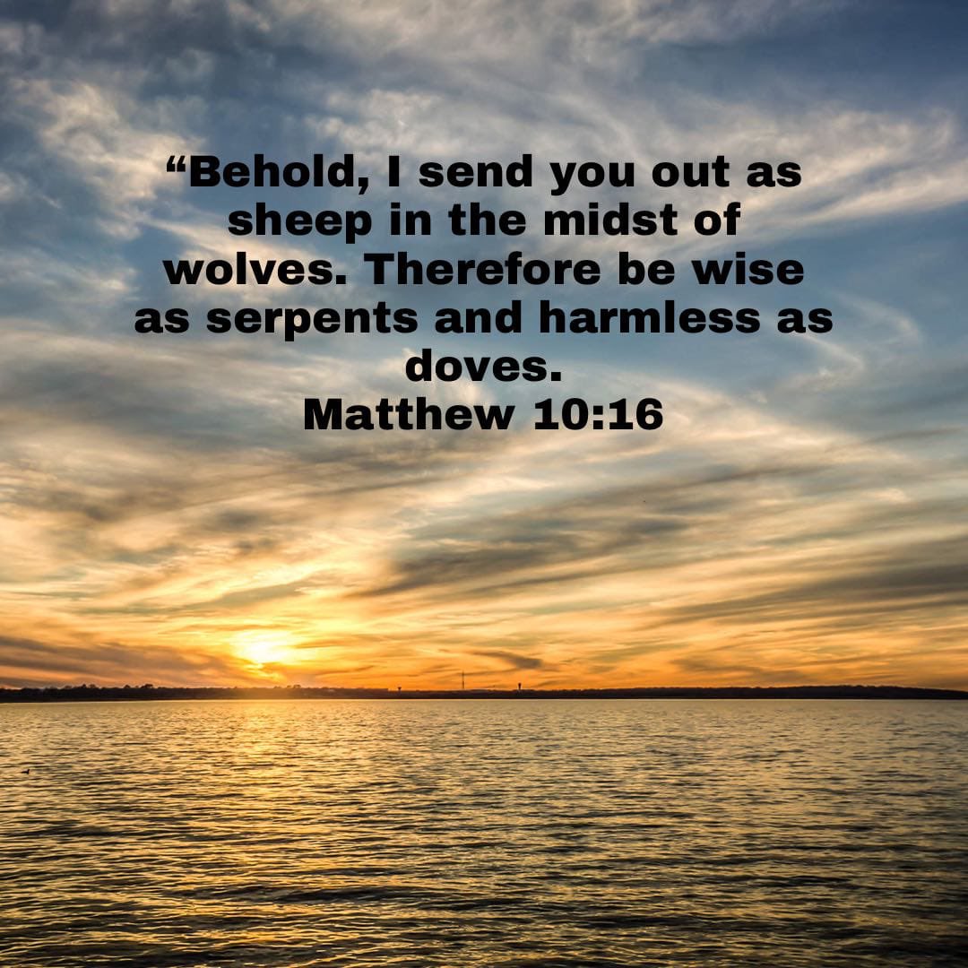 Wen you’re out in the world, remember u r a sheep working living,doing ur thing among wolves.StayStrong.BeWise.In business &amp; ur personal life. Remember u represent God. Always reflect His character &amp;His heart.Let Him lead u with ur gifts &amp; talents. bible.com/bible/114/mat.…