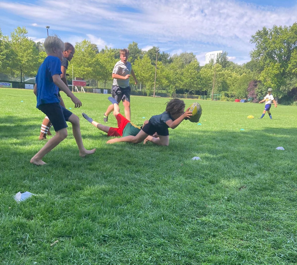 Hamburger Rugby-Verband tweet media