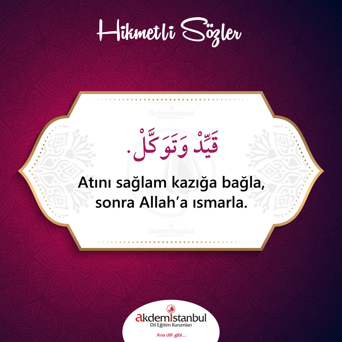 İnsanların canına mal olan savaşları bitirecek kadar büyük güce sahiptir, etkili bir söz. 

#arapçaöğreniyorum
#arapçakursu #arabiccourses #arabic #arabiclanguage #arapçadili #translation #arapçatürkçe #translate #arapça #dileğitimi #languagecourses #yabancıdileğitimi