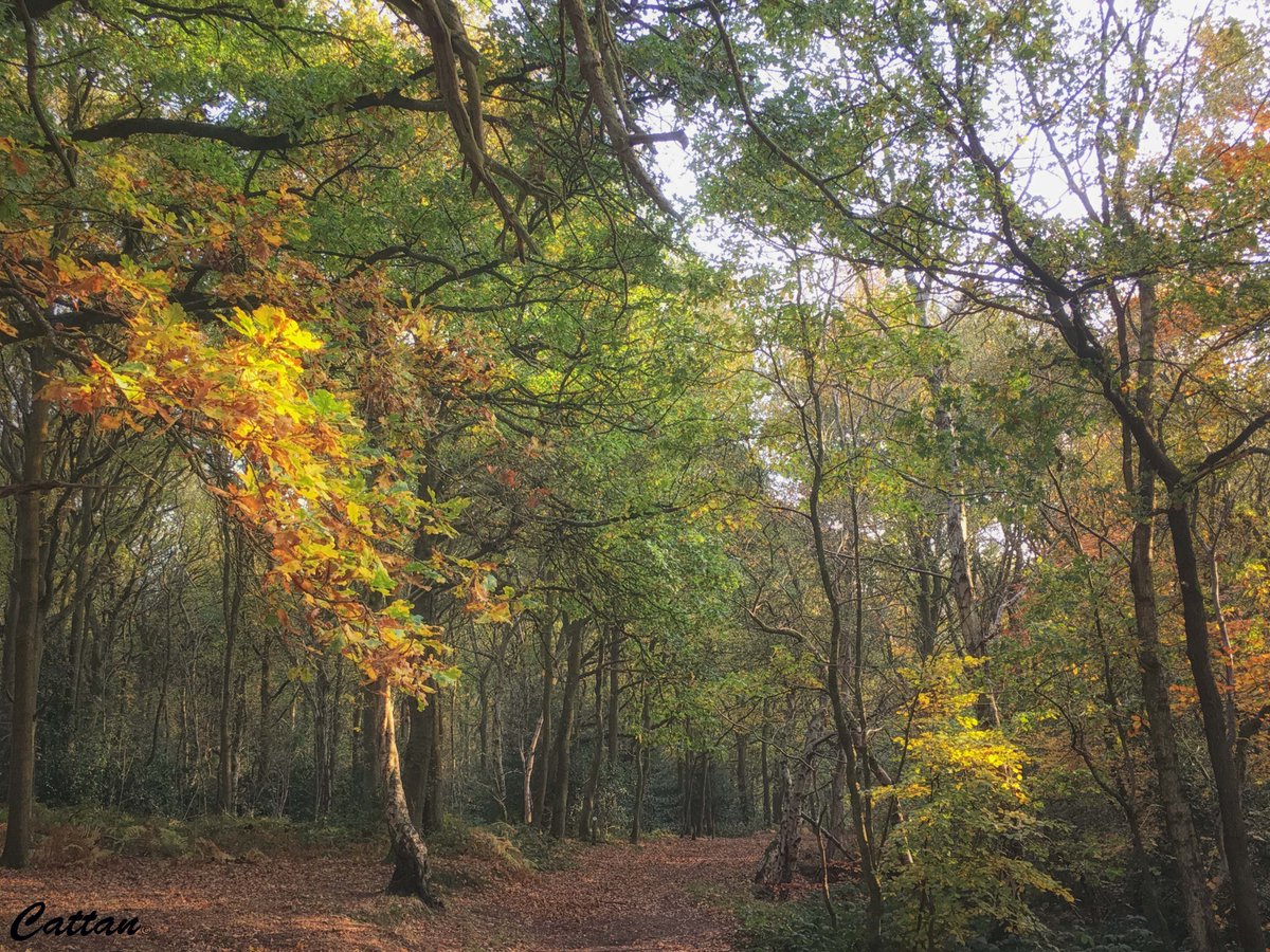 The next round of Landscape Recovery will open this spring.

The scheme is for farmers and land managers who want to carry out large-scale, long-term environmental projects.

If you're interested, join one of our webinars to learn more about the scheme: defrafarming.blog.gov.uk/2023/02/01/lan…