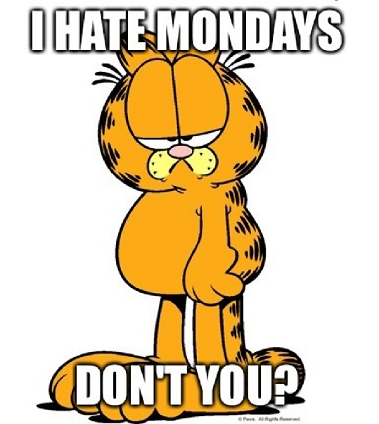 el_ursus's tweet photo. https://t.co/UyPxkukw0f