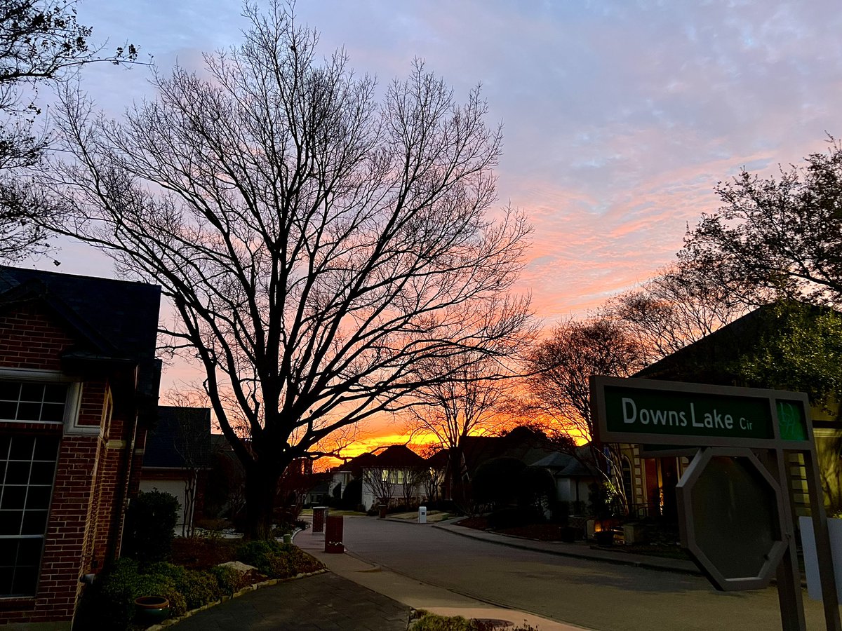 Jack P. Gibson tweet media