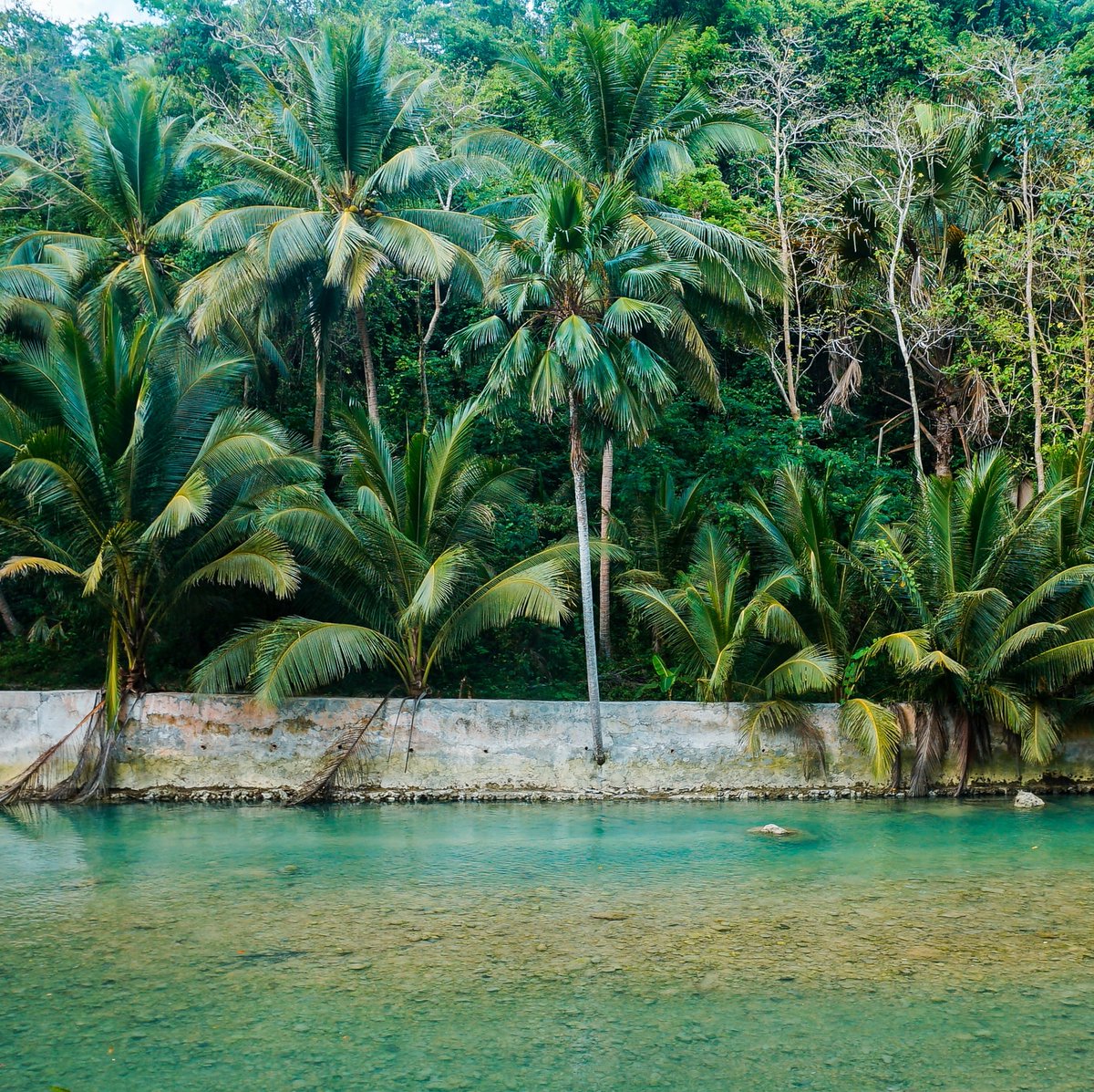 MarleyNaturalJA's tweet photo. Jamaica is filled with beautiful spots to ‘hold a meds.’
Where do you go when you want to reconnect with nature?
#MarleyNaturalJA #OnewithNature #Ragga #OneDraw @MarleyNatural https://t.co/bsoOXARieW
