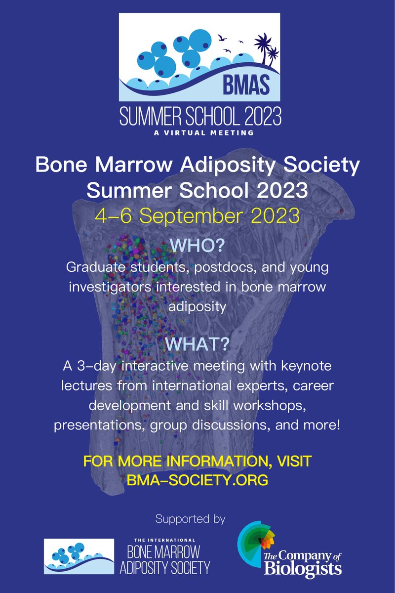 We are excited to announce the second Summer School on #bonemarrowadiposity Grad students, post docs, young investigators mark your calendars on Sept. 4-6th 2023 for #BMASsummerschool2023 Incredible lineup of speakers! Check out the program at bma-society.org