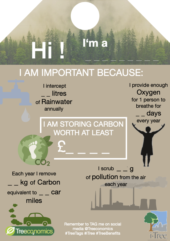 Treeconomics's tweet photo. Introducing our free downloadable tree tag template! 🌳

#Treetags are a great way to publicly display the #ecosystemservices provided by the #trees in our communities.

https://t.co/cekgbD0PQA https://t.co/ecGC4zPOD2