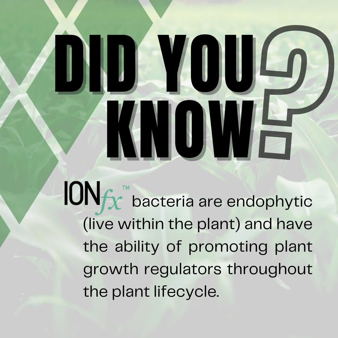 YieldMasterSol's tweet photo. DID YOU KNOW? #Ionfx is just one of the many products in our elite portfolio of biologicals. Let's find out more about what it does to help increase your ROI.  

Learn more at https://t.co/i45VHusiyj
.
.
#YieldMasterSolutions #YMS #Crops #Farming #RowCrops #Agriculture https://t.co/bF65zxgts9