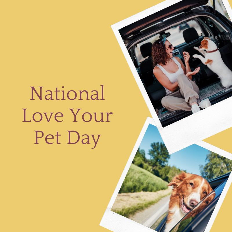 If you ask us, every day is love your pet day ♥️

#Petslife #FamilyPet #Nationalpet