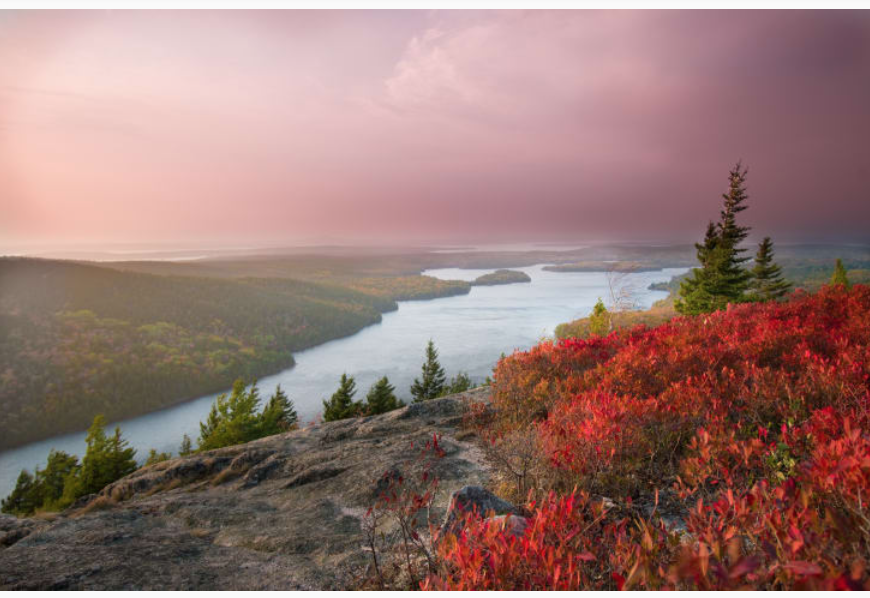 Festival Eclectica tweet media