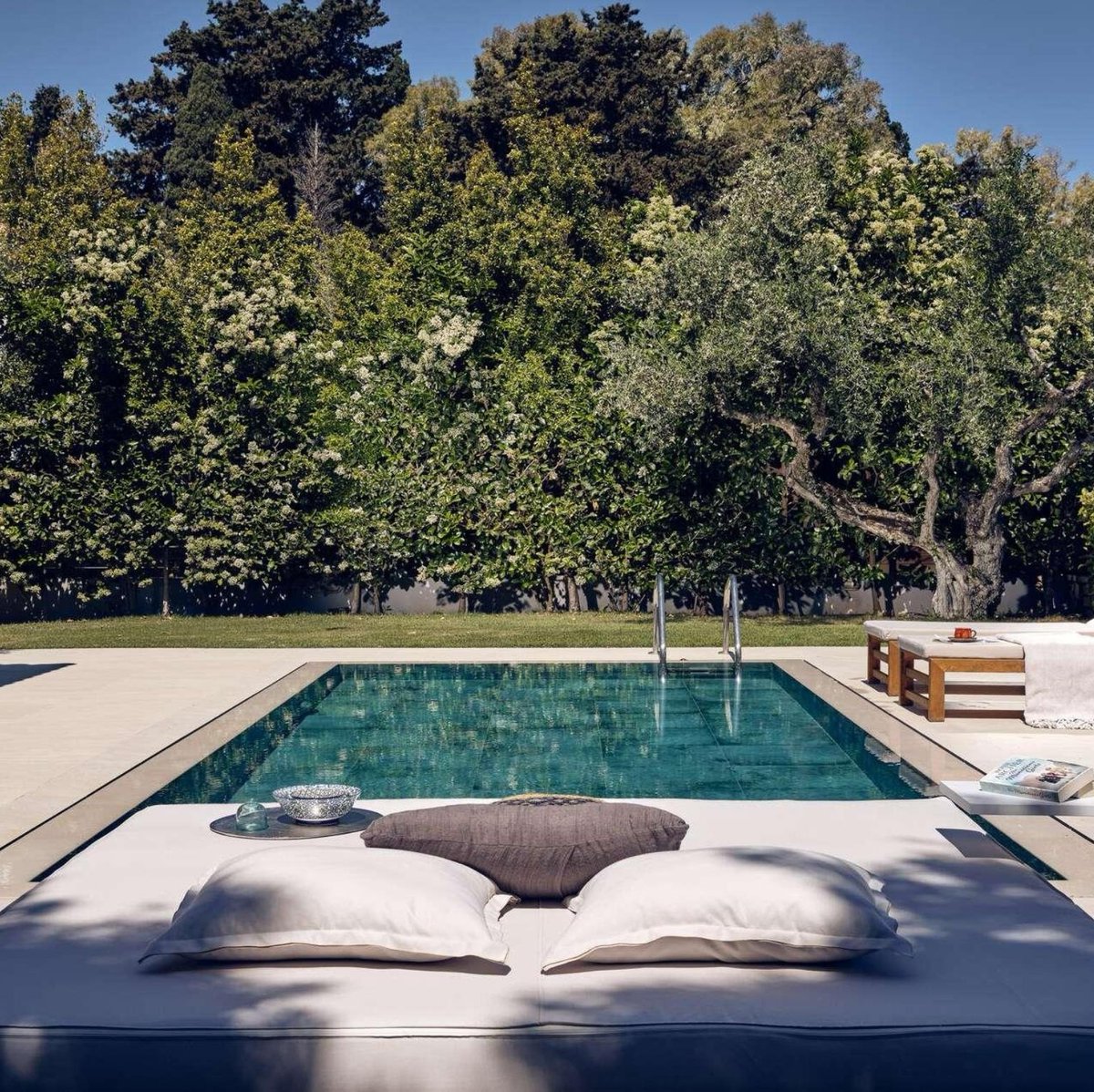 Plum Guide tweet media