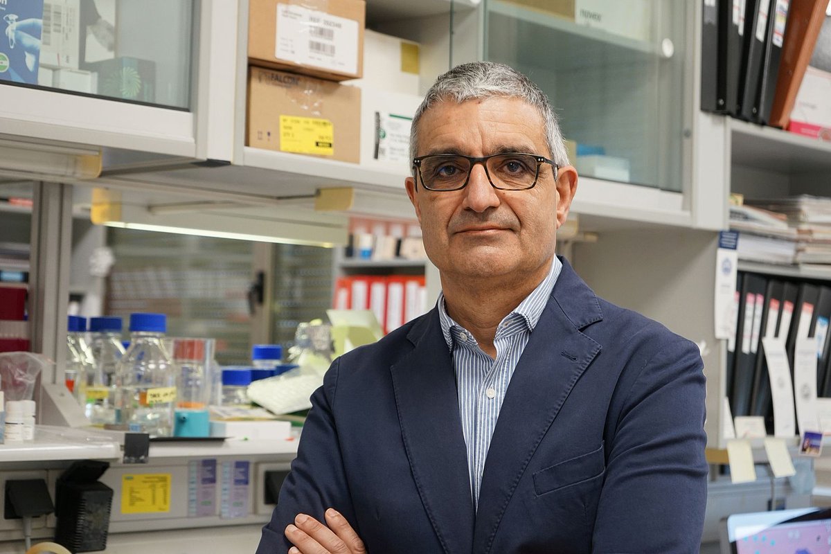 Salud a Diario (@sadiario) on Twitter photo Xosé R. Bustelo (<a href="/XRBustelo/">Xose R Bustelo</a>), nuevo presidente de la Federación de Sociedades Españolas de Oncología @CICancer_com <a href="/CancerCSIC/">Conexión Cáncer CSIC</a> 👇👇🔗saludadiario.es/profesionales/… Xosé R. Bustelo (<a href="/XRBustelo/">Xose R Bustelo</a>), nuevo presidente de la Federación de Sociedades Españolas de Oncología @CICancer_com <a href="/CancerCSIC/">Conexión Cáncer CSIC</a> 👇👇🔗saludadiario.es/profesionales/…