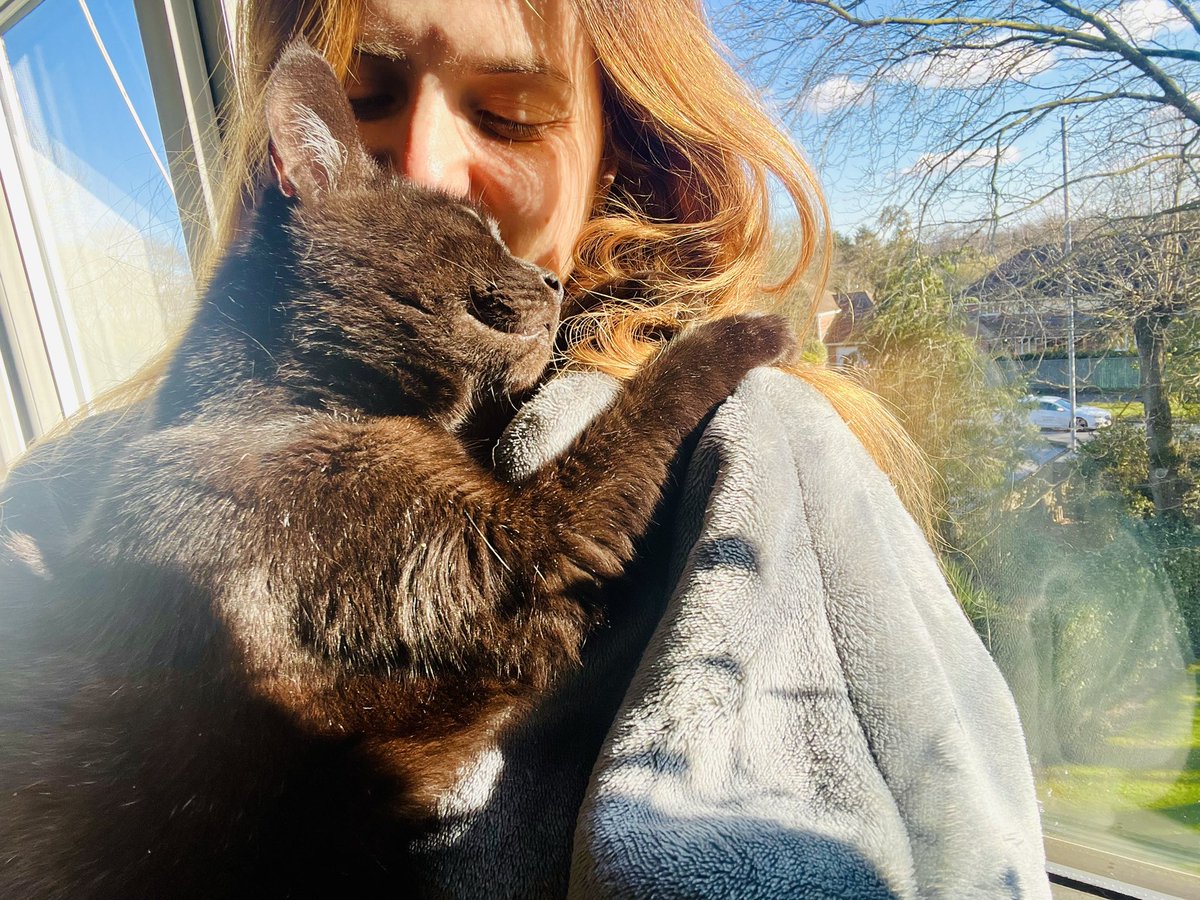 I must have done something good to deserve this cat as my flatmate 🥰