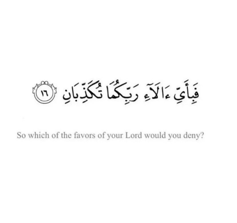 Quranconnect_'s tweet image. None Yaa Allah🥹🤍