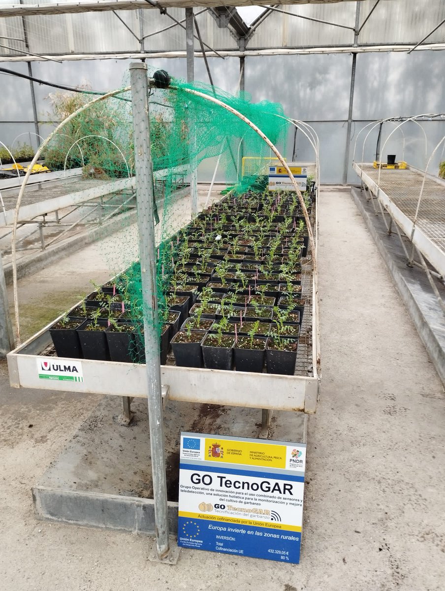 GO TecnoGAR tweet media