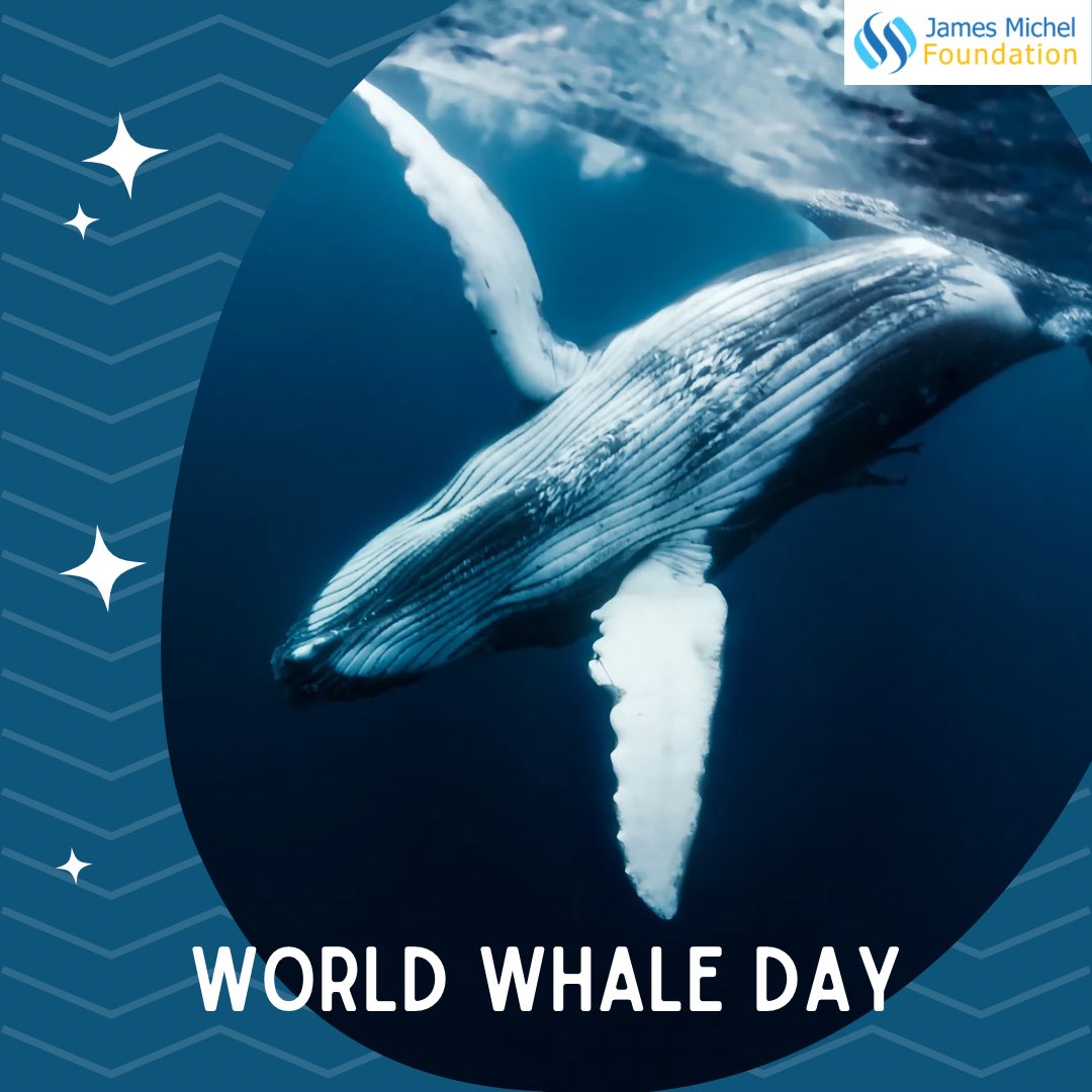 Today is #WorldWhaleDay! 

#Whales are #majestic creatures, but they also have an important role in the overall #health of the #MarineEnvironment and #ClimateChange #Mitigation!

#CarbonCapture #FishNourishment #Tourism #WhaleWatching #MarineEnvironment #Ocean #ProtectTheWhales