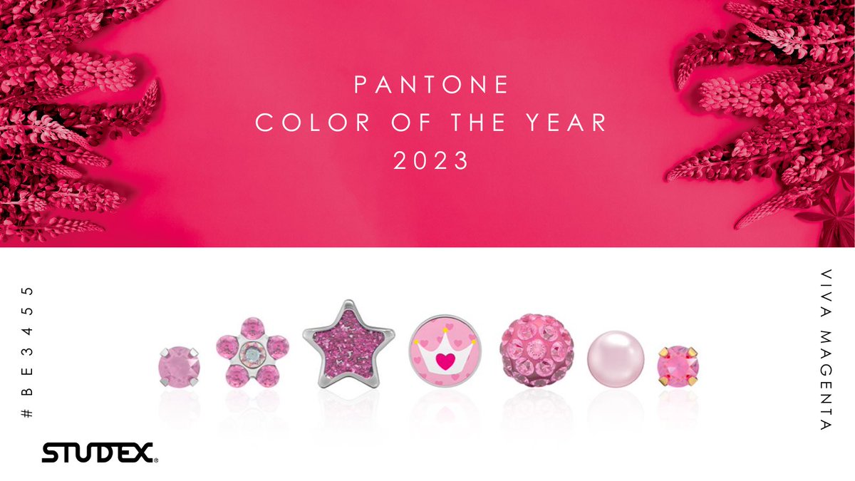 STUDEX of Europe tweet media