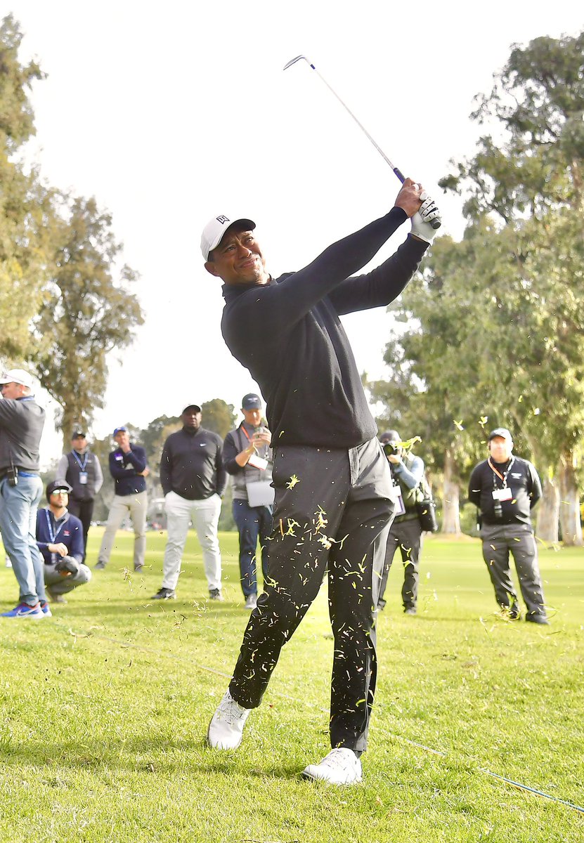 True or False: Tiger Woods is the most dominant athlete of their respective sport in history. 👀