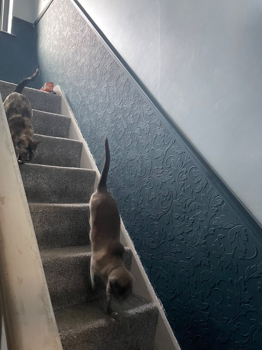 R (@rachelrayns) on Twitter photo 