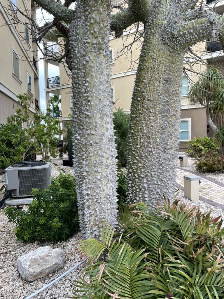 JeffGorball's tweet photo. Where’s the tree huggers when you want em😂😂😂 https://t.co/wTicJVelTi
